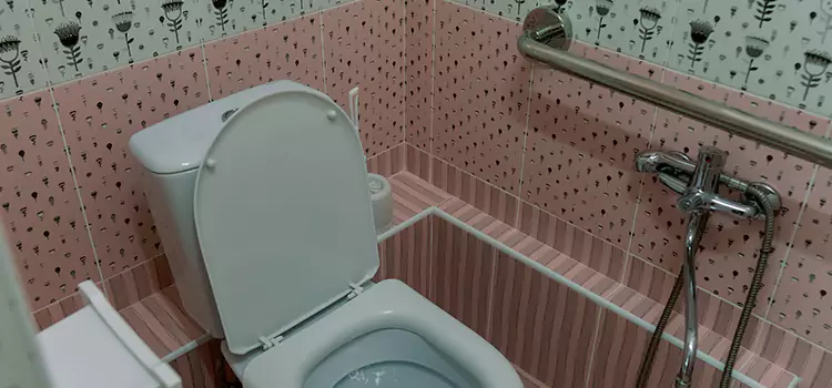 Meeting Diverse Needs With Accessible Restroom Solutions in Mishawaka, IN
